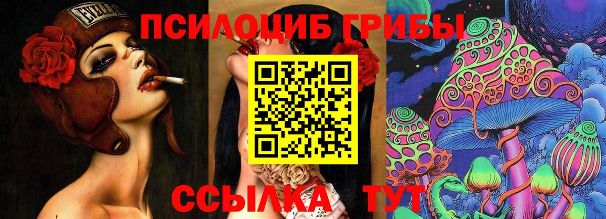 Псилоцибиновые грибы MAGIC MUSHROOMS  Вход с VPN  Усолье-Сибирское 